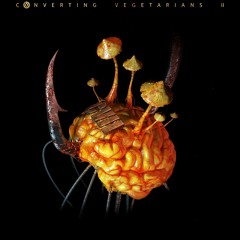 Infected Mushroom