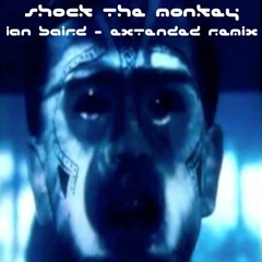 Shock The Monkey - Ian Baird Extended Remix