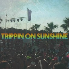 Trippin On Sunshine feat. MC Skibadee