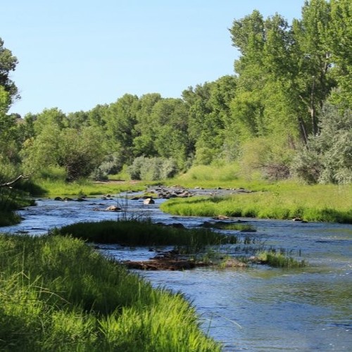 Nightfall on the Carson River