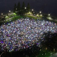 Flight Of The Bumblebee