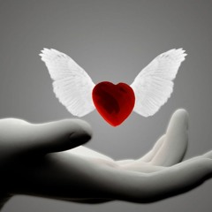 محمد قنديل - هواك اسرار