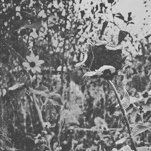 devon rea x lovewithme - questioning