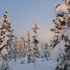 Windowpane_Piano Version