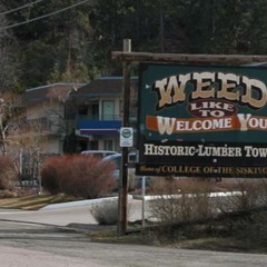 LegalizeIt- Birthday song for Beth