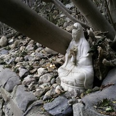 frequencie prayers harbin temple