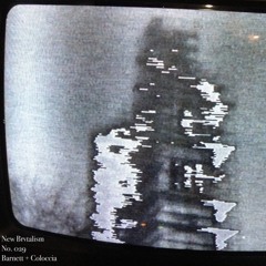 New Brvtalism No. 029 - Barnett + Coloccia