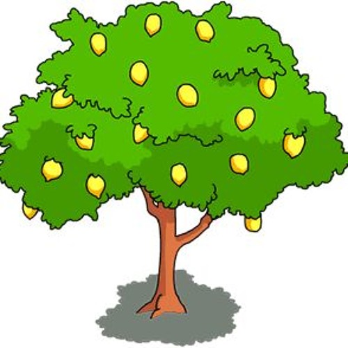 Lemon Tree [S.F.O Remix]