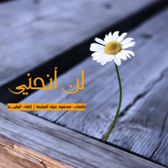 El WaliD | لنْ أنحني .. لــ المرابط