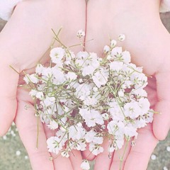 Lenka-The Show (short)