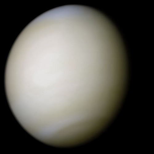 venus