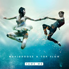 Maxigroove & Top Flow ft. Raany- Tame Me