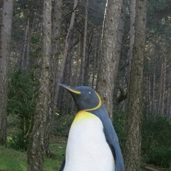 Lo escuché y me gustó