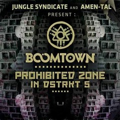 Scheme Boy at Jungle Syndicate, Boomtown Fair 2015