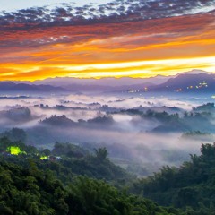 Cinematic: First Fly