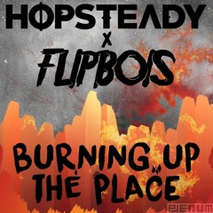 Hopsteady ✖ FlipBois - Burning Up The Place