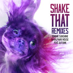 Tommie Sunshine & Halfway House Feat. DJ Funk - Shake That (ATICA Remix)