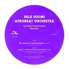 Dele Sosimi Afrobeat Orchestra - Too Much Information ( remixes )