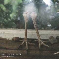 Feathers And Dreams