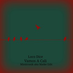 Loco Dice - Vamos A Cali (Minitronik aka Matke Edit) Free Download