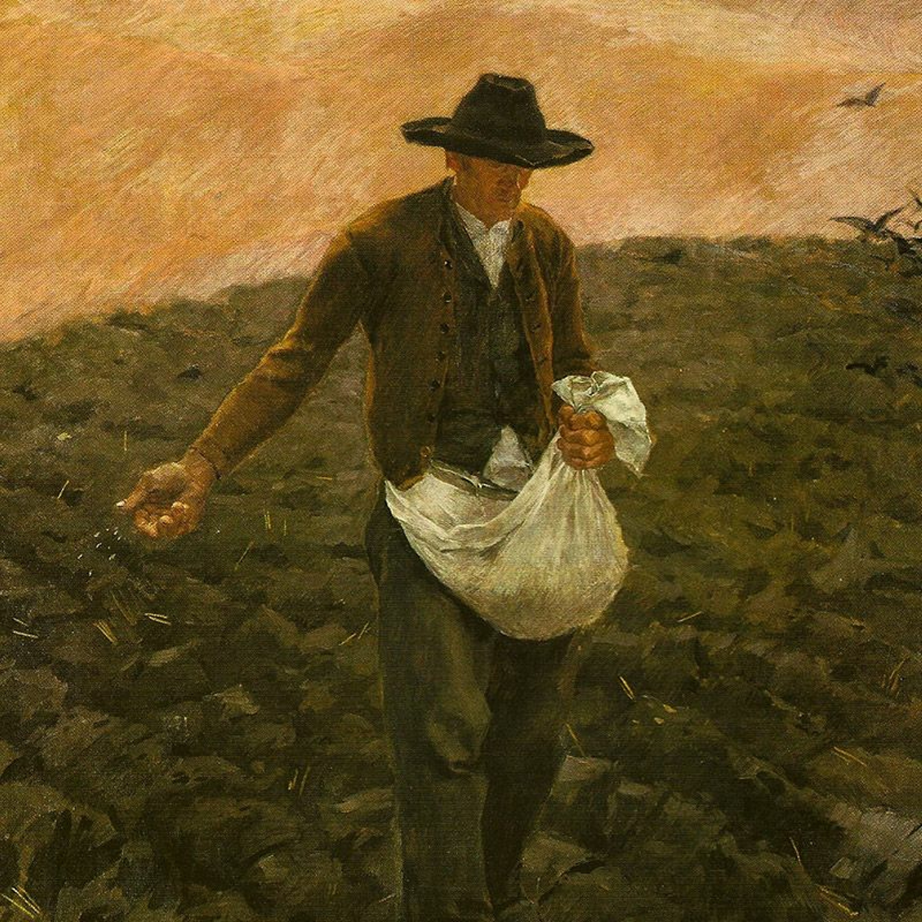 Homilia Diária.17: Sábado da 24ª Semana Comum (I) - Entre pedras e espinhos episode artwork