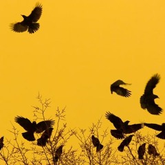 Henry Lee (Nick Cave Cover)