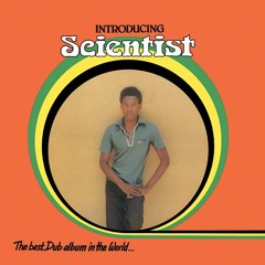 Scientist - Steppers