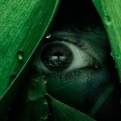 Khemikal - Deep In The Jungle (Clip)