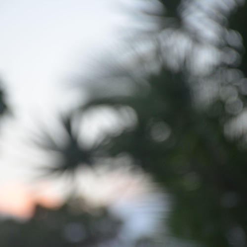 In The Afternoon
