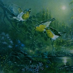 of light, feathers, soil and tears