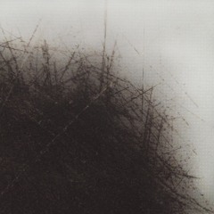 豚の会社 [P1G.Co]