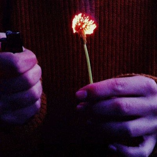 Stream Hurricane by Halsey (Cover) by Gabriella O Listen online for