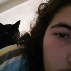 "Stop throwing Poptarts at the cat!!"