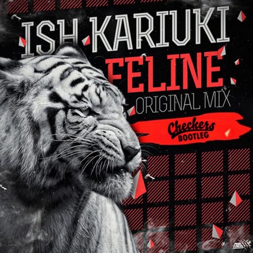 Ish Kariuki - Feline (Checkers Bootleg)