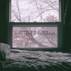 Skrillex & Diplo - Where Are Ü Now ft. Justin Bieber (cover)