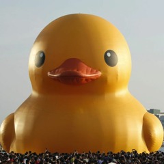 Duck Pond, Burning Man 2015
