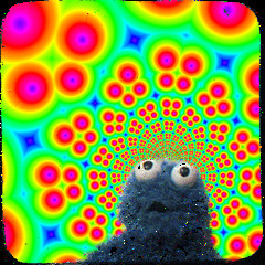 Kekse in der Disco