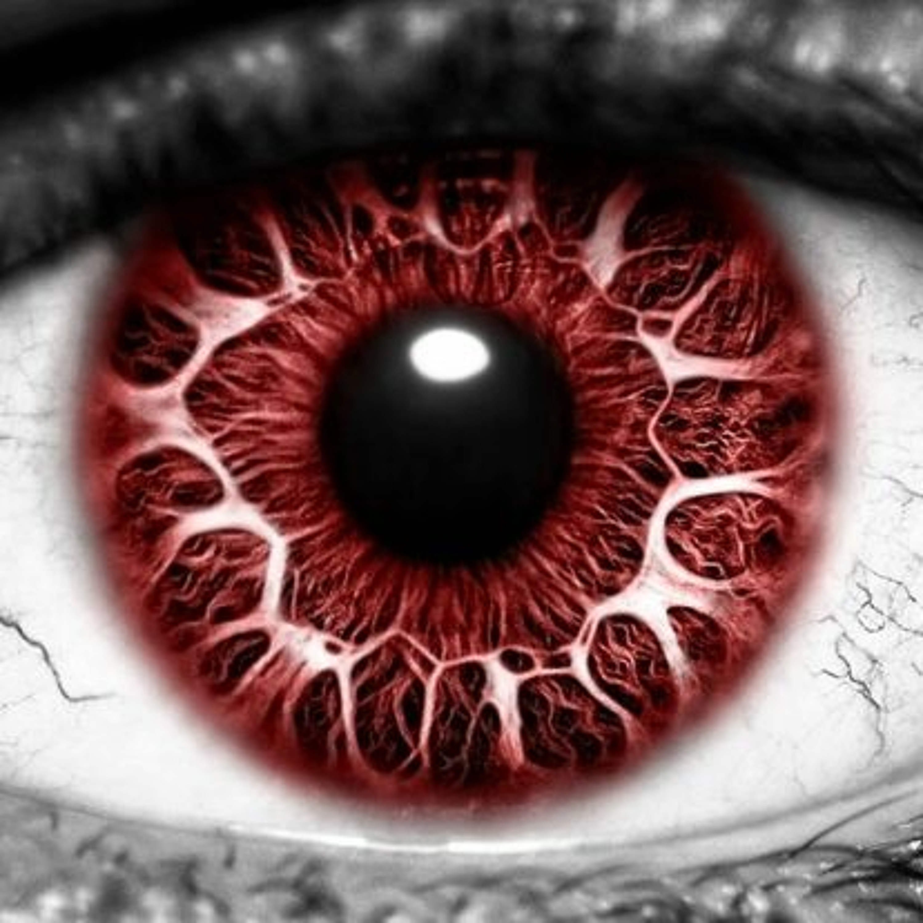 Psylocida