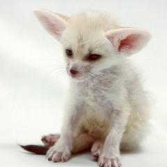 하남석 - 밤에떠난여인 The Lady who left at night. - Ha Nam Seok