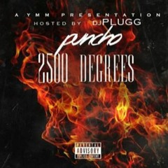 2500 Degrees - Puncho