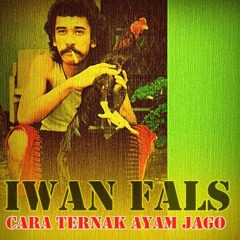 Kembang Pete Live version  Iwan Fals