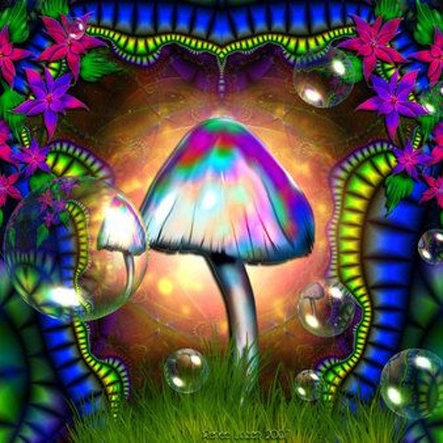 Coffi - Mushroom - Kingdom  TDay Remix