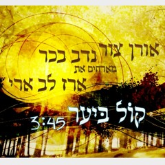 קול ביער - אורן צור ונדב בכר עם ארז לב ארי וחיליק.mp3