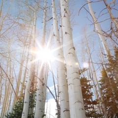 Wiggle Pop Show Your Stuff