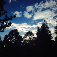 Friends, Cigarettes, and Dying Worlds