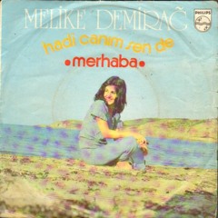 Melike Demirag - Hayyydi Canım Sen De (Zet Groove Dub)