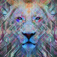 Dum Dee Dum (NGHTMRE Remix)X G.D.F.R.  Mashup