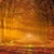 Artwork for Autumn Is Comming