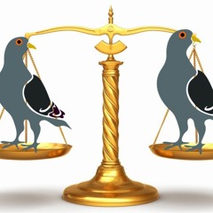 Carolina Juice - 2 Pots And A Scale