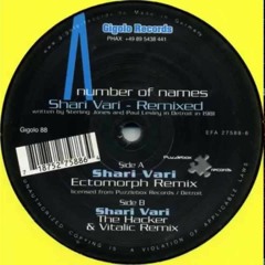 A Number Of Names - Shari Vari (The Hacker & Vitalic Remix)